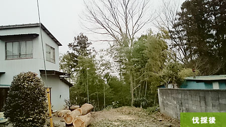 PL 